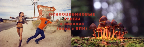 apvp Беломорск