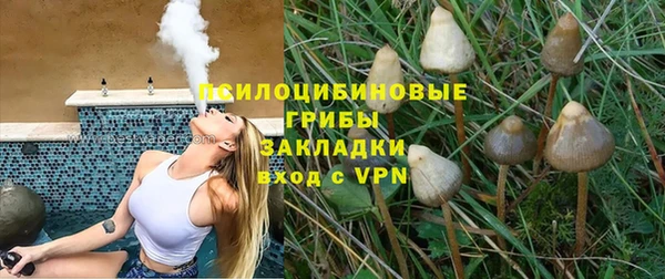 сатива Белоозёрский