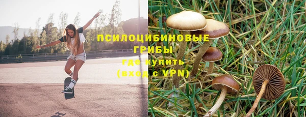 apvp Беломорск