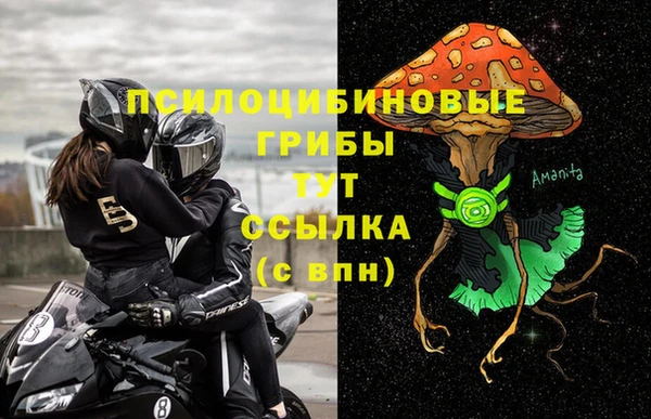 ALPHA-PVP Белокуриха