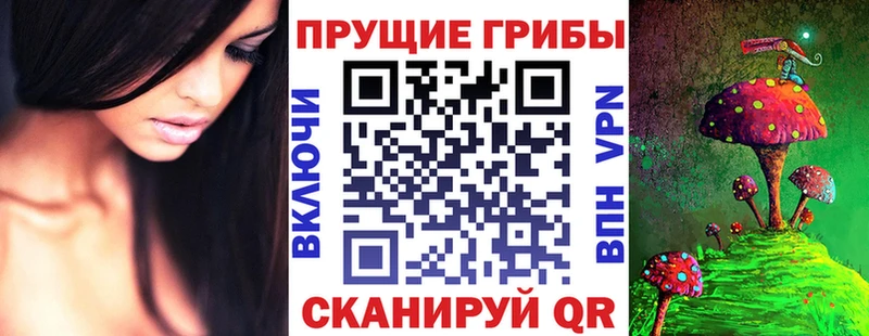 Псилоцибиновые грибы мицелий Полтавская